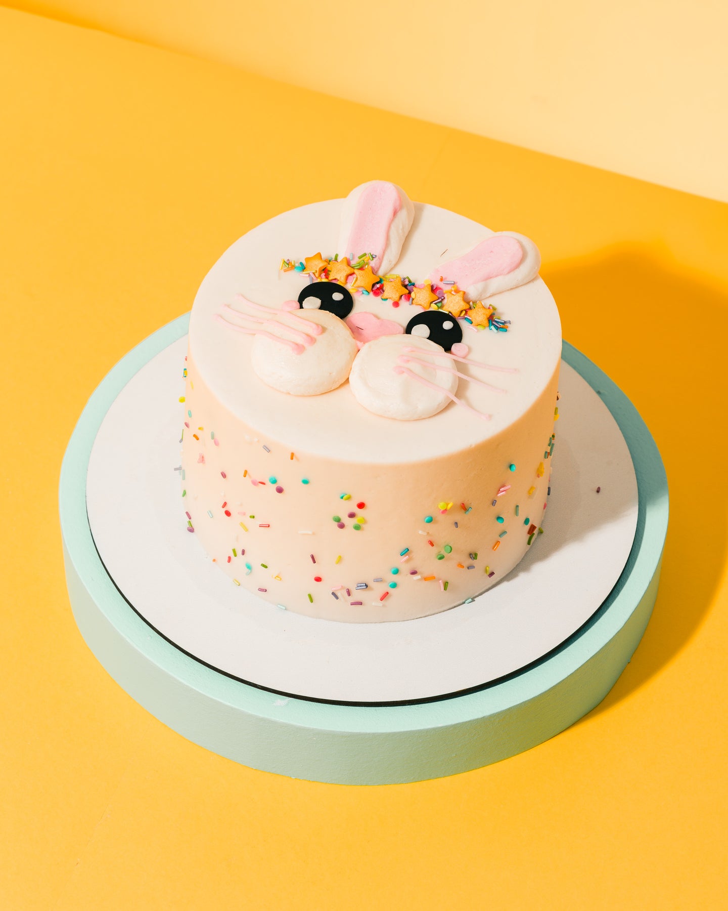 Hoppy Bunny Cake (Collection Only)