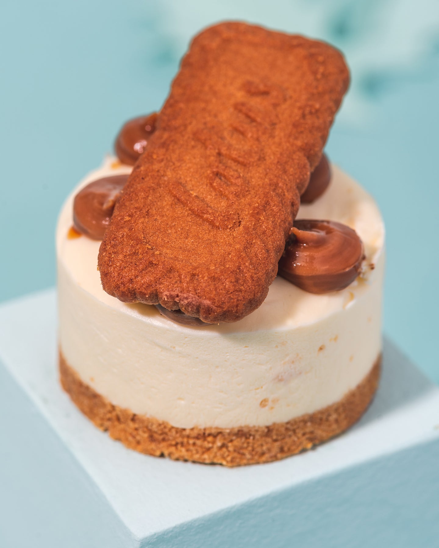 Biscoff & White Chocolate Cheesecake Dessert Pot